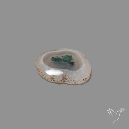 Solar Quartz with Moss Slice Raw Edges Freeform