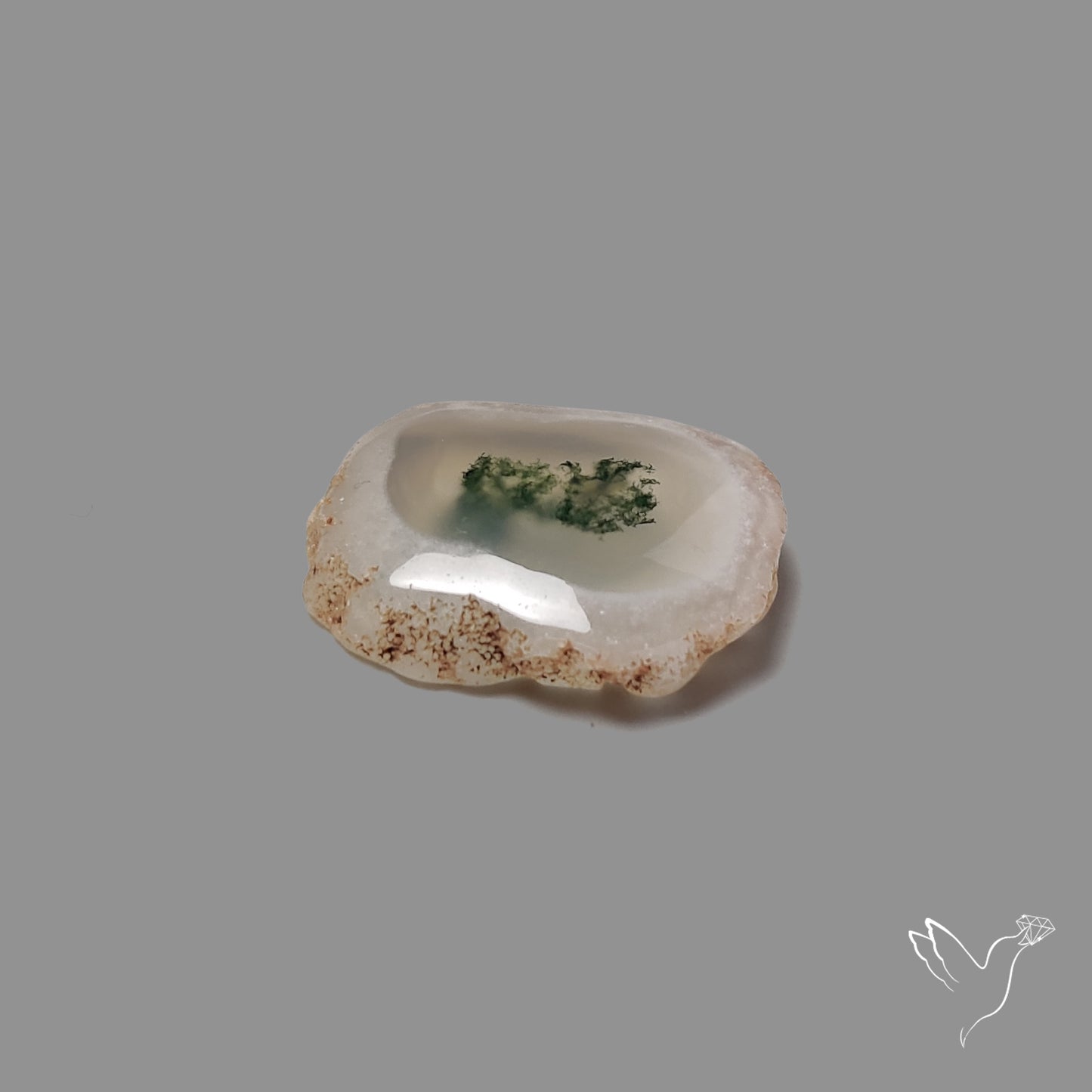 Solar Quartz with Moss Slice Raw Edges Freeform