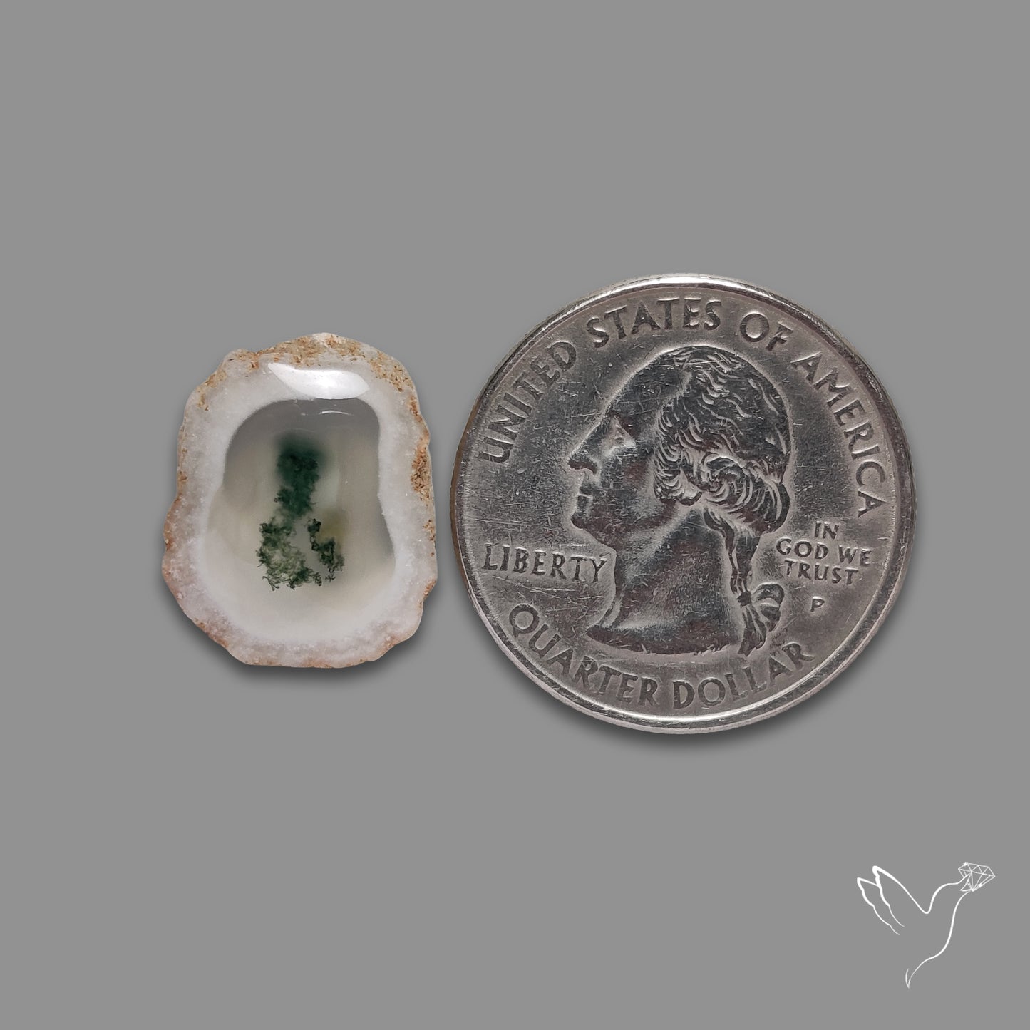 Solar Quartz with Moss Slice Raw Edges Freeform