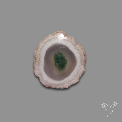 Solar Quartz with Moss Slice Raw Edges Freeform