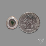 Solar Quartz with Moss Slice Raw Edges Freeform