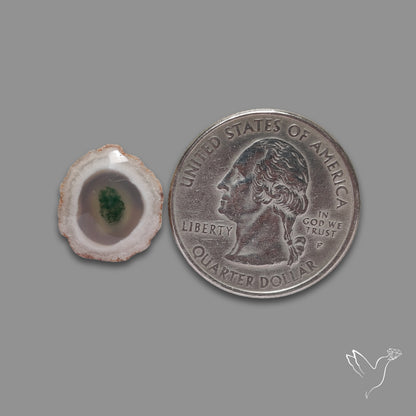 Solar Quartz with Moss Slice Raw Edges Freeform