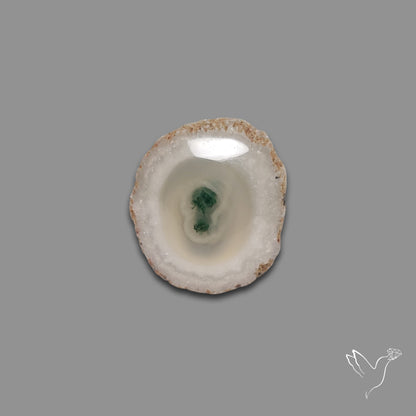 Solar Quartz with Moss Slice Raw Edges Freeform