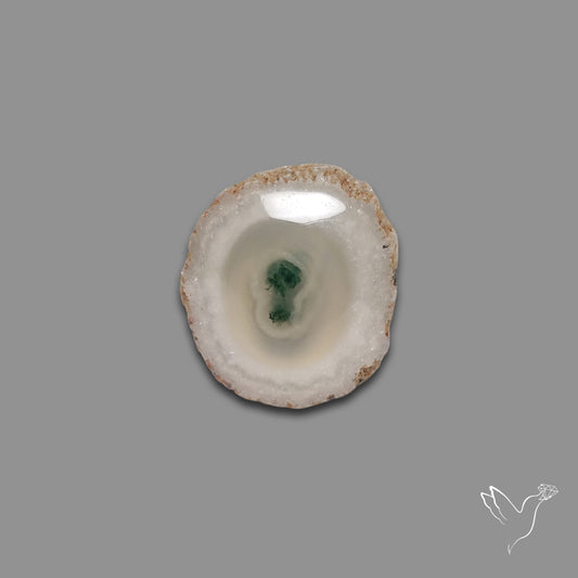 Solar Quartz with Moss Slice Raw Edges Freeform