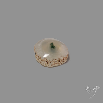 Solar Quartz with Moss Slice Raw Edges Freeform