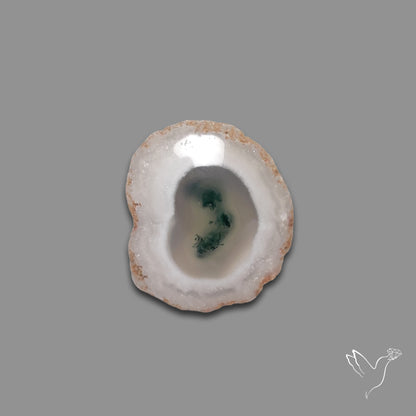 Solar Quartz with Moss Slice Raw Edges Freeform