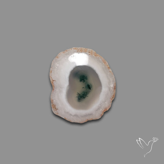 Solar Quartz with Moss Slice Raw Edges Freeform