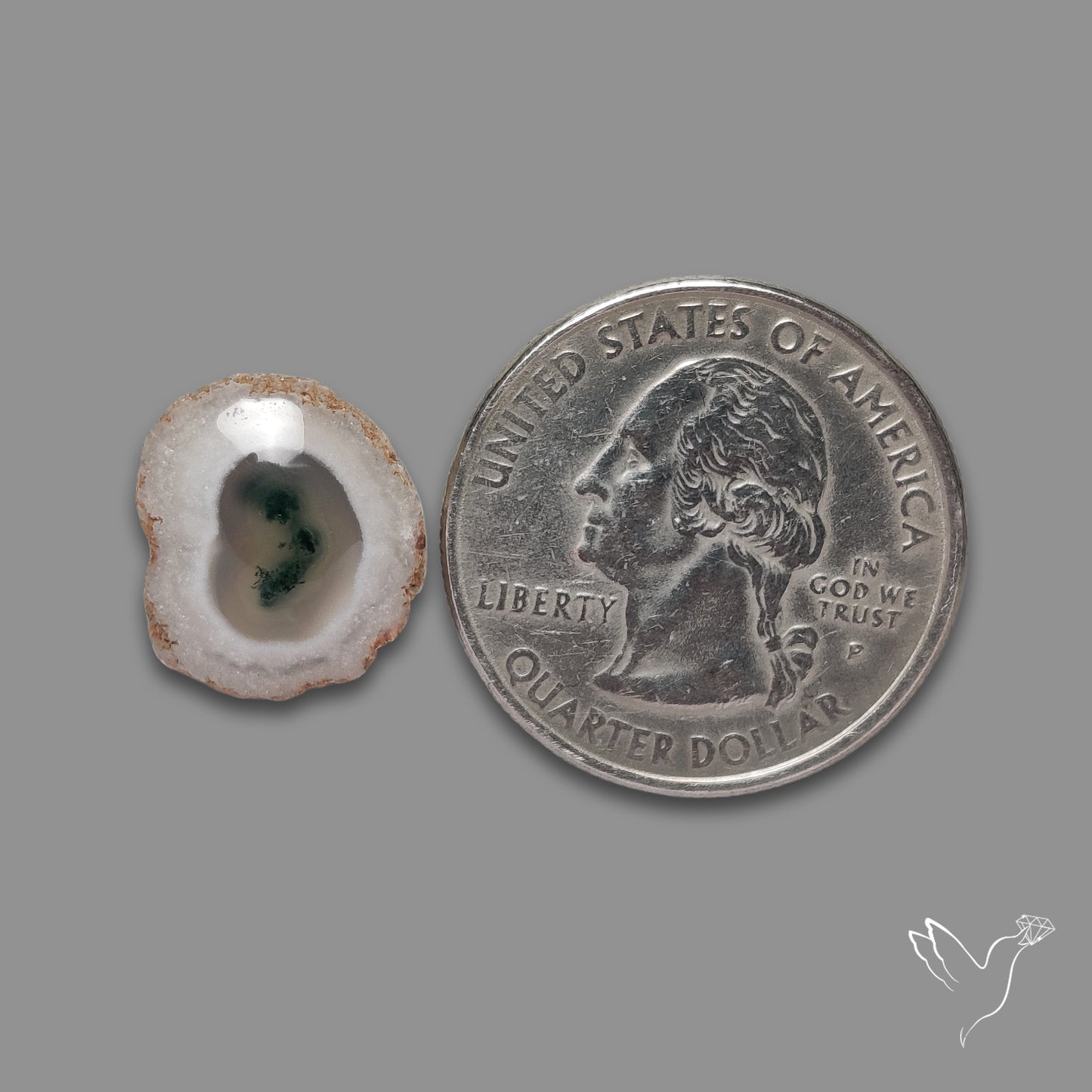Solar Quartz with Moss Slice Raw Edges Freeform