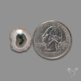 Solar Quartz with Moss Slice Raw Edges Freeform