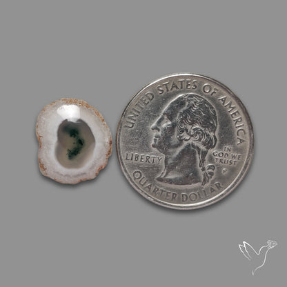 Solar Quartz with Moss Slice Raw Edges Freeform