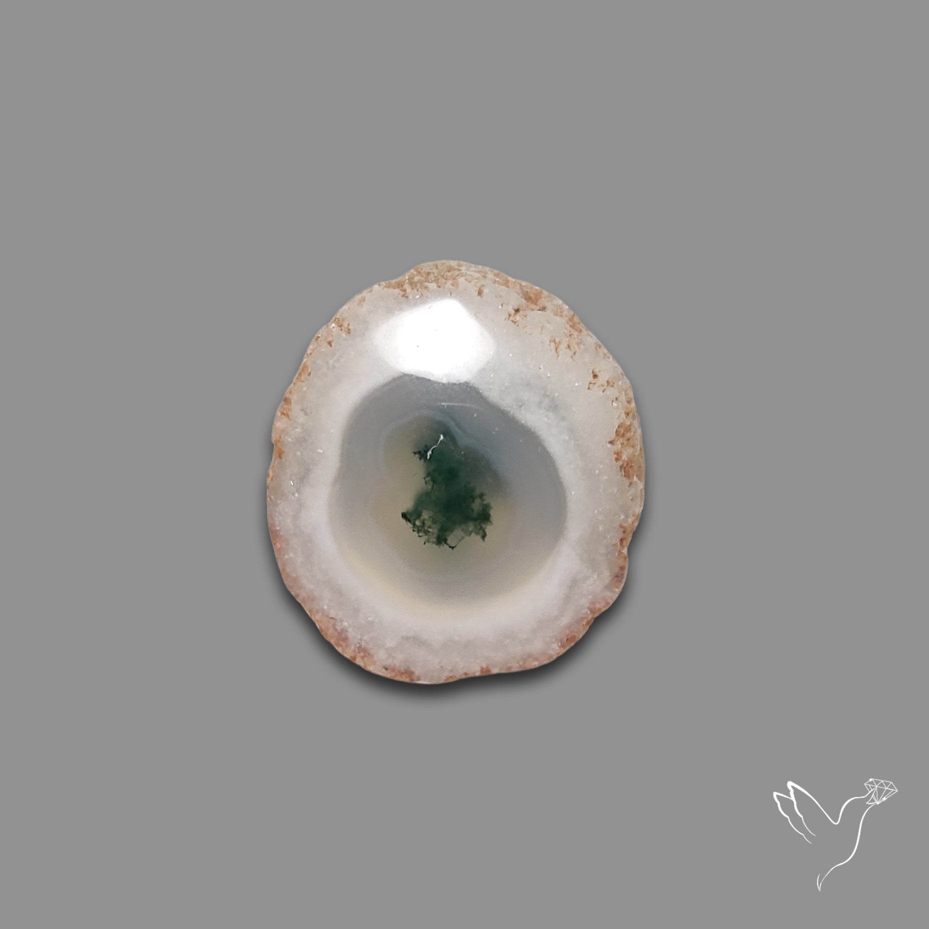 Solar Quartz with Moss Slice Raw Edges Freeform
