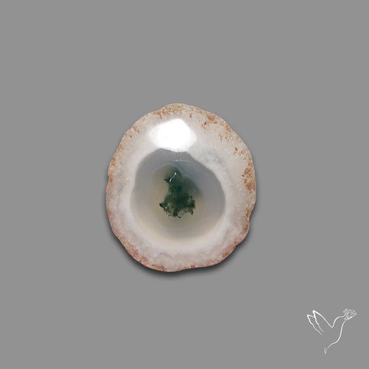Solar Quartz with Moss Slice Raw Edges Freeform