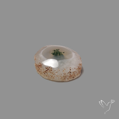 Solar Quartz with Moss Slice Raw Edges Freeform