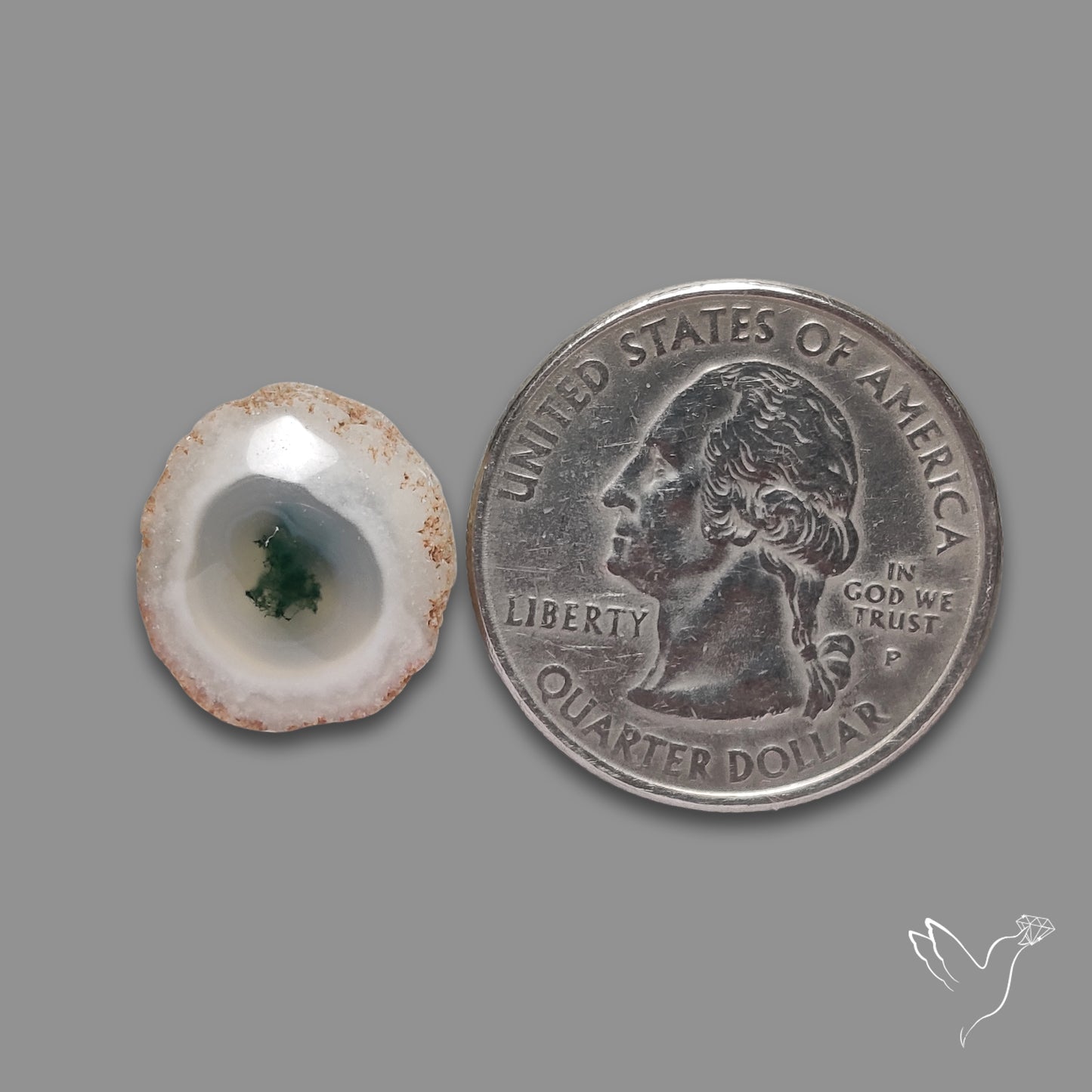 Solar Quartz with Moss Slice Raw Edges Freeform