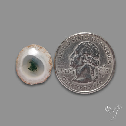 Solar Quartz with Moss Slice Raw Edges Freeform