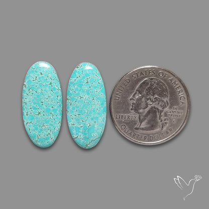 Number 8 Mines Turquoise Pair