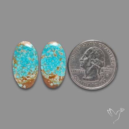 Number 8 Mines Turquoise Pair