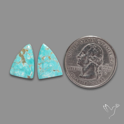 Number 8 Mines Turquoise Pair