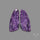 Charoite Pair