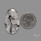 Black Tourmalinated Quartz Cabochon