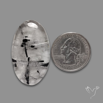 Black Tourmalinated Quartz Cabochon