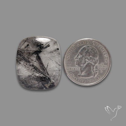 Black Tourmalinated Quartz Cabochon