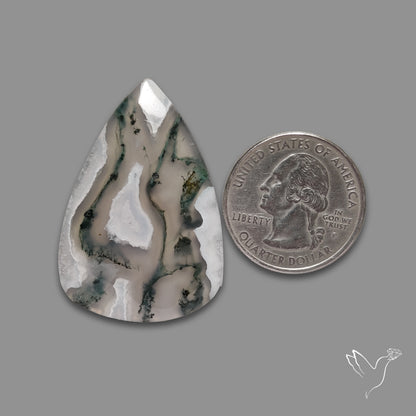 Moss Agate Cabochon