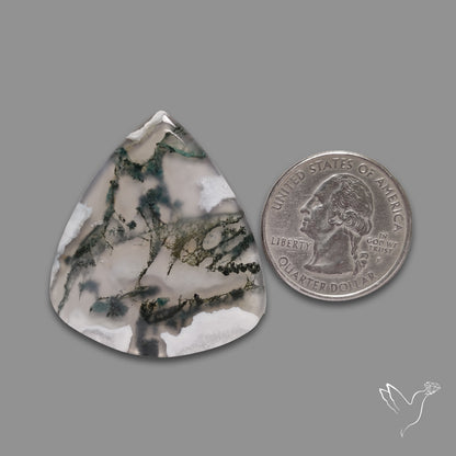 Moss Agate Cabochon