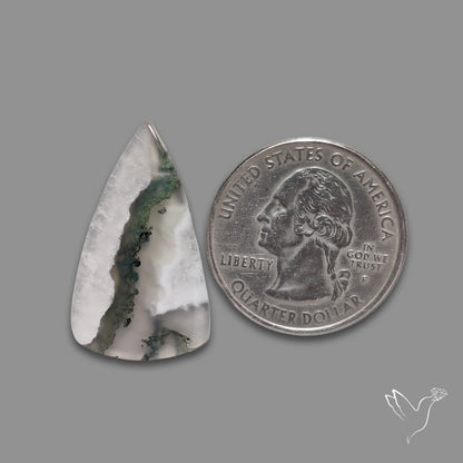 Moss Agate Cabochon