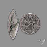 Moss Agate Cabochon