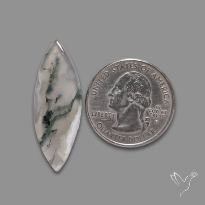Moss Agate Cabochon