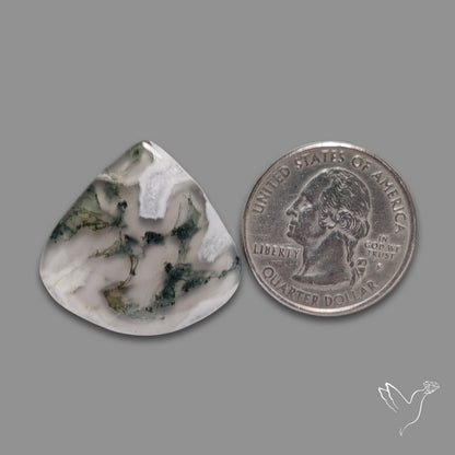 Moss Agate Cabochon
