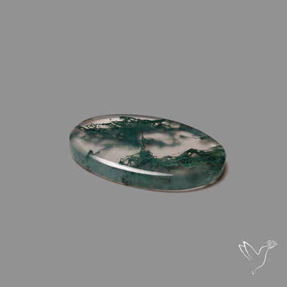 Moss Agate Cabochon