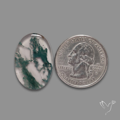 Moss Agate Cabochon