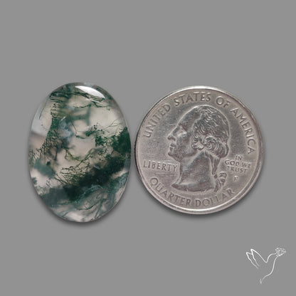 Moss Agate Cabochon