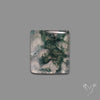 Moss Agate Cabochon