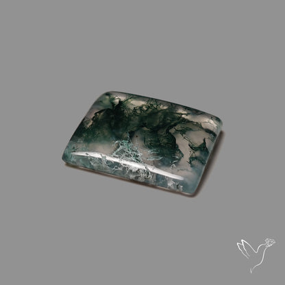Moss Agate Cabochon