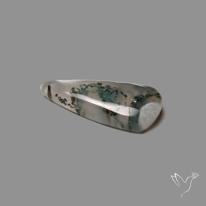 Moss Agate Cabochon