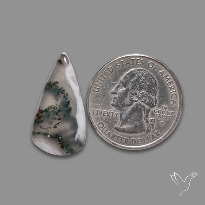 Moss Agate Cabochon
