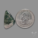 Moss Agate Cabochon