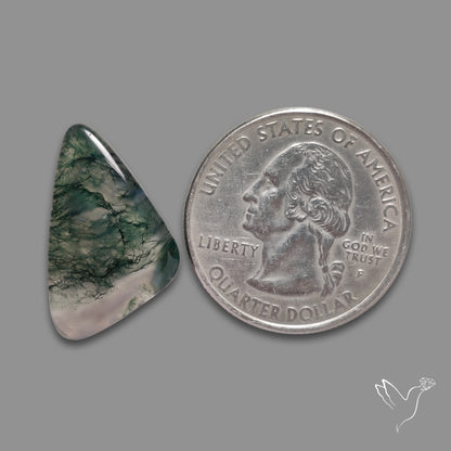Moss Agate Cabochon