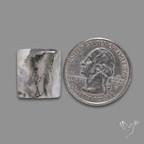Moss Agate Cabochon