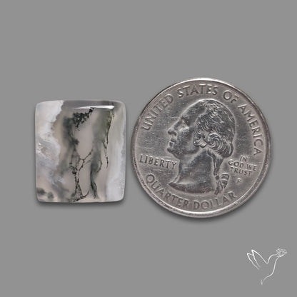 Moss Agate Cabochon