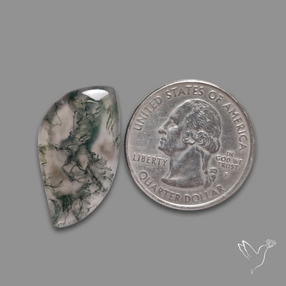 Moss Agate Cabochon