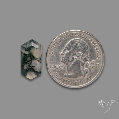 Step Cut Moss Agate