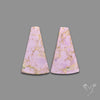 Phosphosiderites Pair