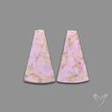 Phosphosiderites Pair