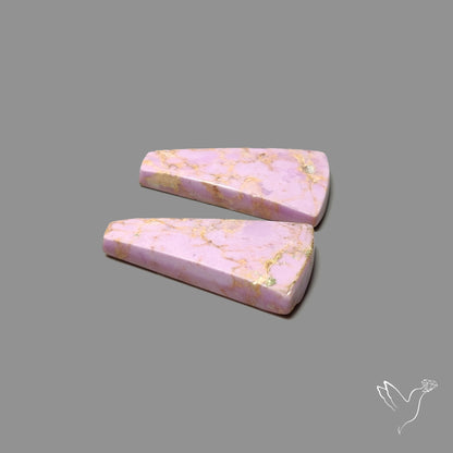 Phosphosiderites Pair