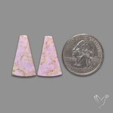 Phosphosiderites Pair