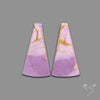 Phosphosiderites Pair
